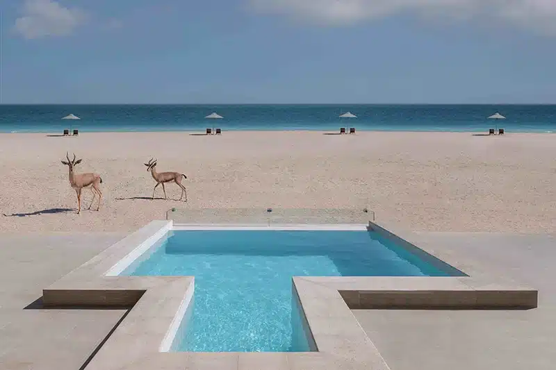 Sir Bani Yas Island: Adventure and Wildlife 2 Sir Bani Yas Island: Adventure and Wildlife