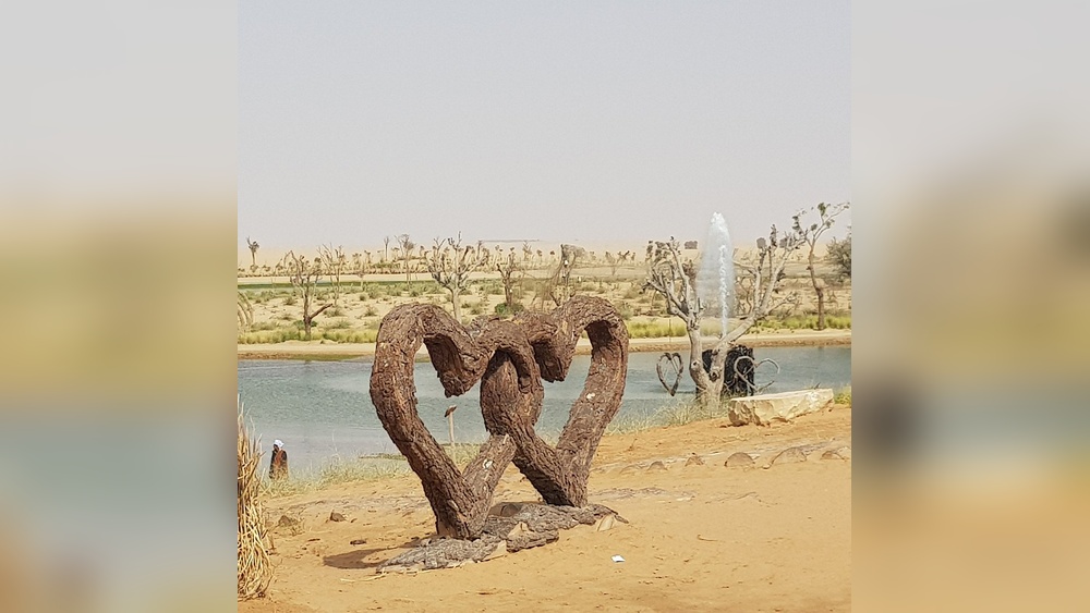 Al Qudra Lake Dubai: Nature, Wildlife & Activities 6 Al Qudra Lake Dubai: Nature, Wildlife & Activities