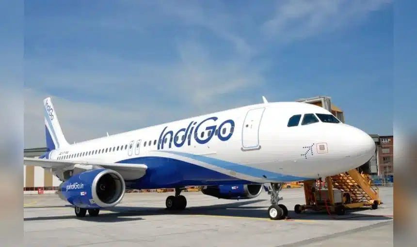 Book Indigo Flight With Tabby Or Tamara: The Ultimate Guide 1 Book Indigo Flight With Tabby Or Tamara