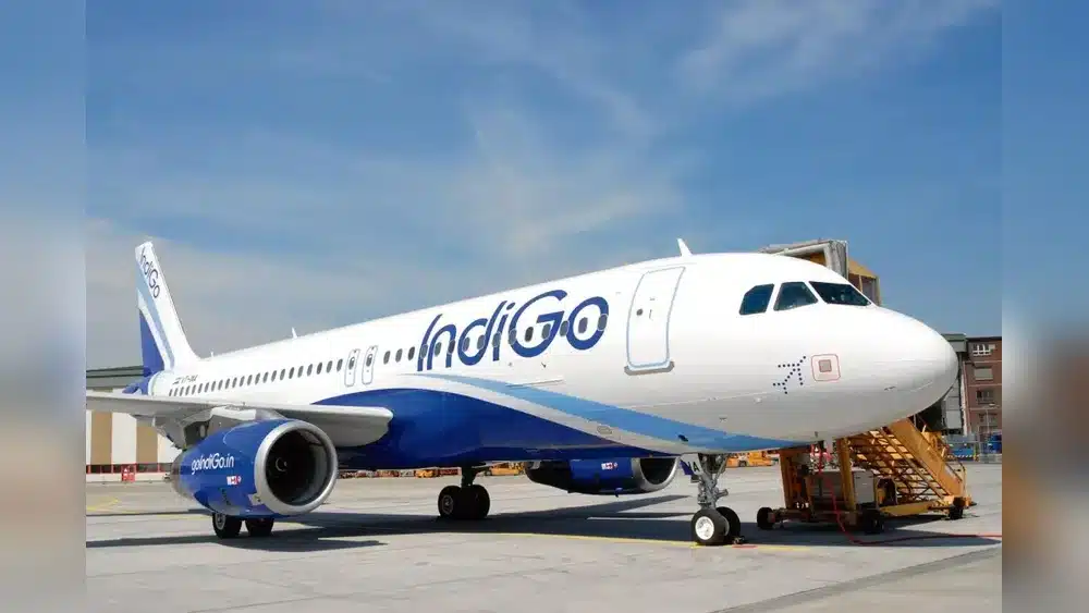 Book Indigo Flight With Tabby Or Tamara: The Ultimate Guide 4 Book Indigo Flight With Tabby Or Tamara: The Ultimate Guide