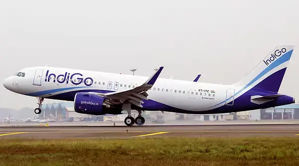 Book Indigo Flight With Tabby Or Tamara: The Ultimate Guide 4 book indigo flights