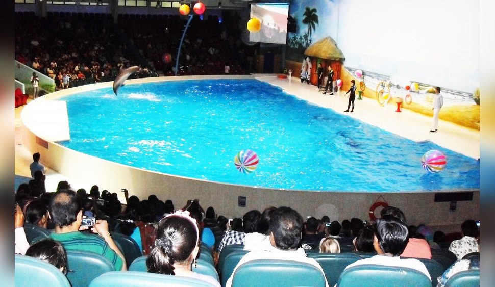 Dubai Dolphinarium