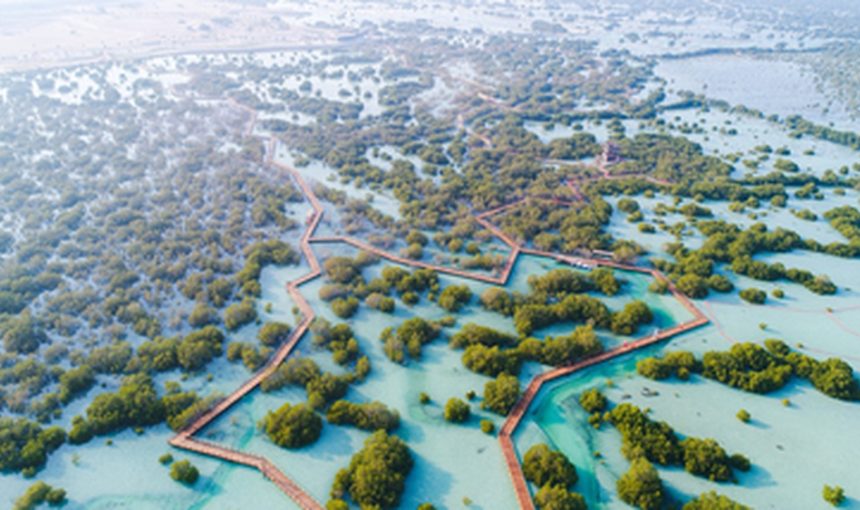 Jubail Mangrove Park: Nature’s Hidden Gem in Abu Dhabi 1 Jubail Mangrove Park