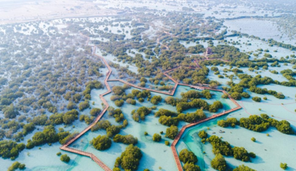 Jubail Mangrove Park