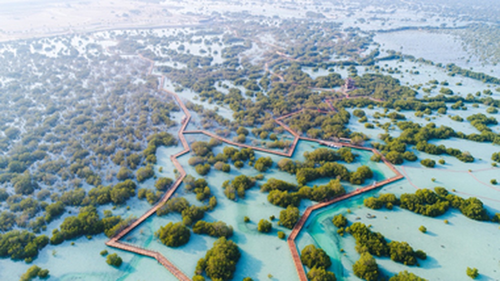 Jubail Mangrove Park: Nature’s Hidden Gem in Abu Dhabi 5 Jubail Mangrove Park: Nature’s Hidden Gem in Abu Dhabi