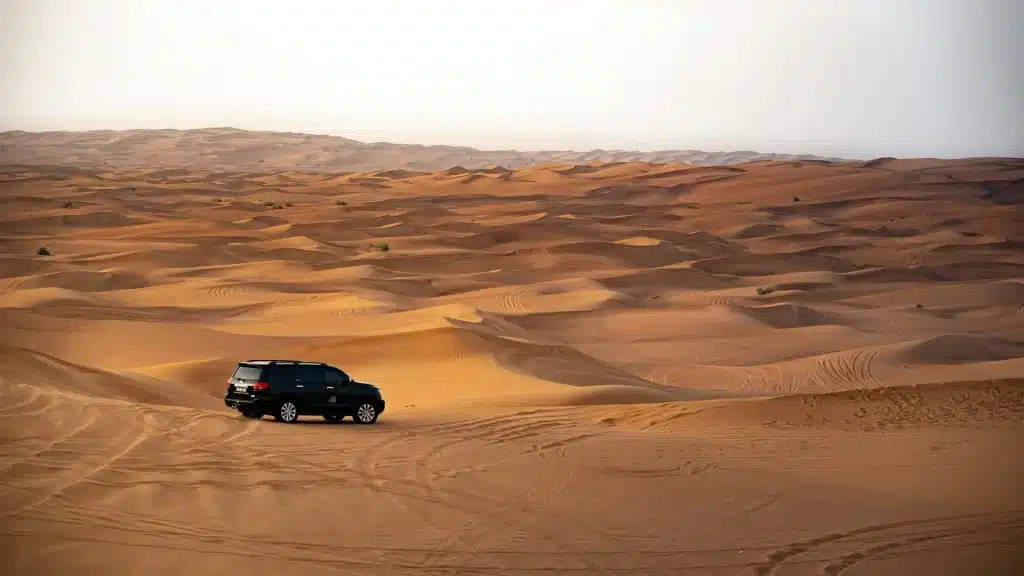 Al Khatim Desert Guide to Adventure and Activities 4 Al Khatim Desert Abu dhabi
