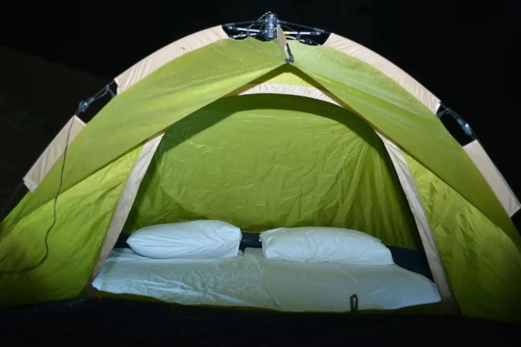Bedouin Oasis Camp: Unforgettable Desert Adventure Awaits 9 Bedouin Oasis Camp stay with tabby