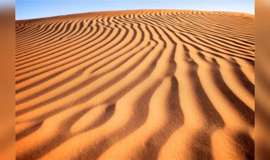 Al Khatim Desert Guide to Adventure and Activities 1 Al Khatim Desert