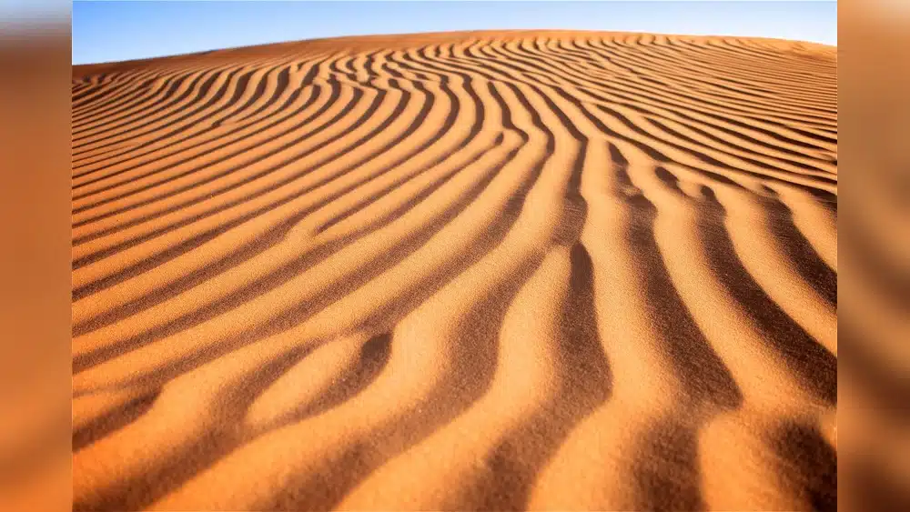 Al Khatim Desert Guide to Adventure and Activities 1 Al Khatim Desert Guide to Adventure and Activities