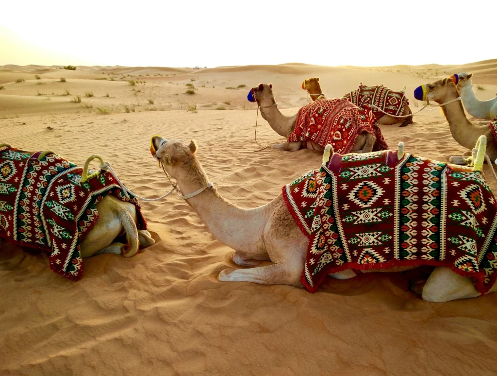 Dubai Private Desert Safari Luxury Adventure Experience 3 dubai private desert safari
