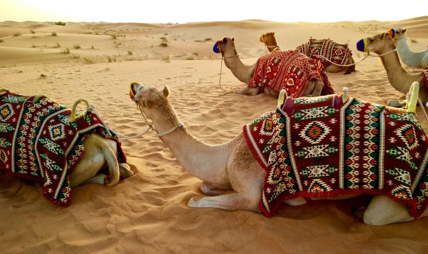 Dubai Private Desert Safari Luxury Adventure Experience 1 Dubai Private Desert Safari