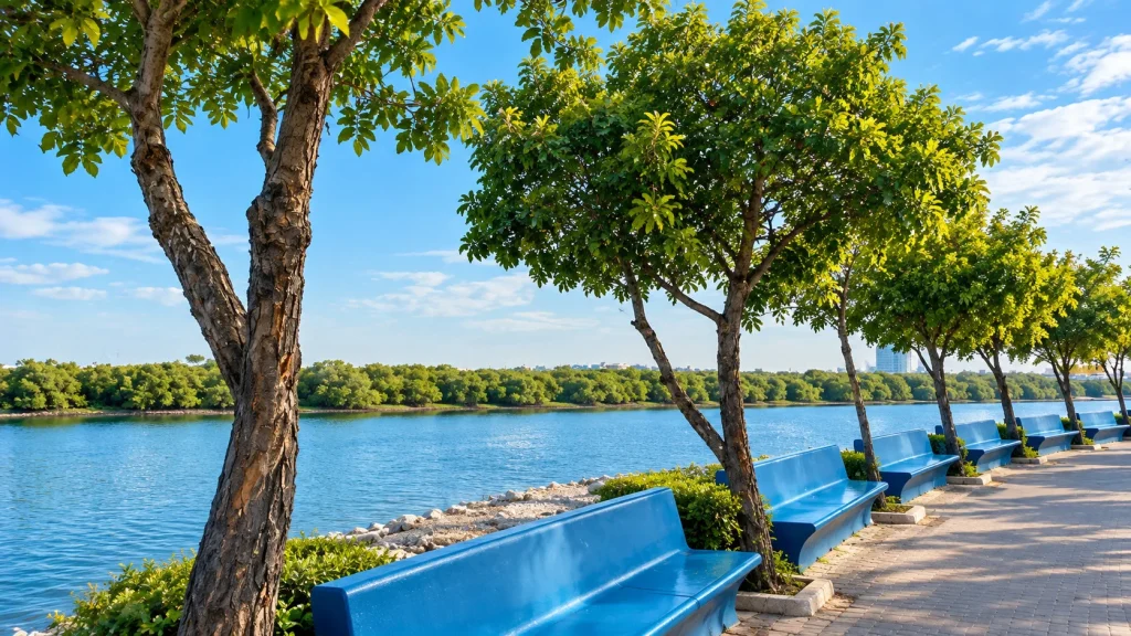 Al Qawasim Corniche Ras Al Khaimah: Complete Visitor Guide 2 Al Qawasim Corniche waterfront walk
