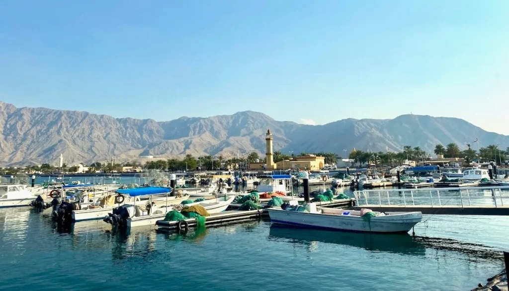 Al Rams Ras Al Khaimah: Beach and Mangroves Guide 2 Al Rams Ras Al Khaimah