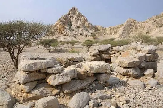 Shimal Ras Al Khaimah: Ancient Tombs and Sheba's Palace 2 shimal stone tombs