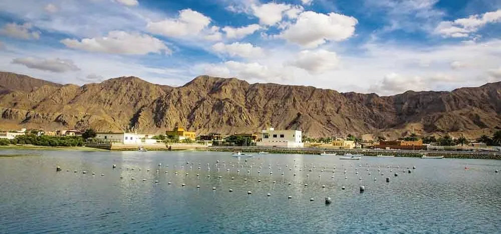 Suwaidi Pearl Farm Ras Al Khaimah: Tours and Visitor Tips 2 suwaidi pearl farm ras al khaimah