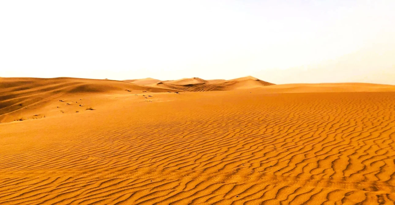 Al Badayer Sharjah: Big Red Dunes, Desert Retreat, Things to Do and Where to Stay 3 Al Badayer Sharjah: Big Red Dunes, Desert Retreat, Things to Do and Where to Stay