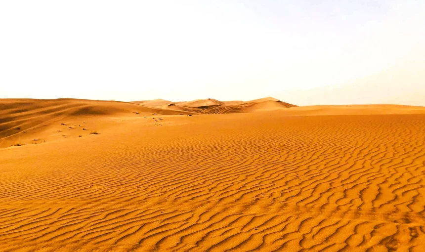 Al Badayer Sharjah: Big Red Dunes, Desert Retreat, Things to Do and Where to Stay 1 Al Badayer