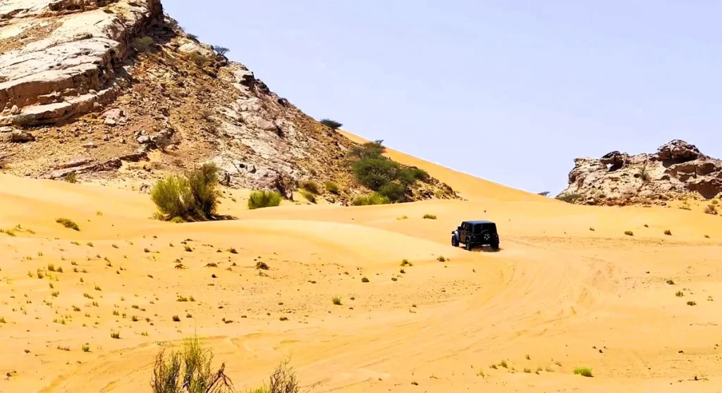 Al Badayer Sharjah: Big Red Dunes, Desert Retreat, Things to Do and Where to Stay 2 Al Badayer Sharjah