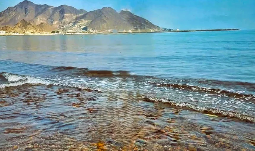 Al Badiyah Beach in Fujairah: Things to Do, Mosque and Visitor Tips 1 Al Badiyah Beach images