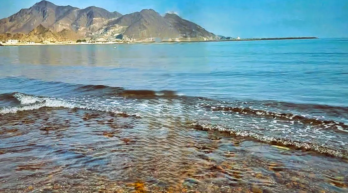 Al Badiyah Beach in Fujairah: Things to Do, Mosque and Visitor Tips 8 Al Badiyah Beach in Fujairah: Things to Do, Mosque and Visitor Tips
