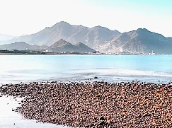 Al Badiyah Beach in Fujairah: Things to Do, Mosque and Visitor Tips 3 Al Badiyah Beach location fujairah