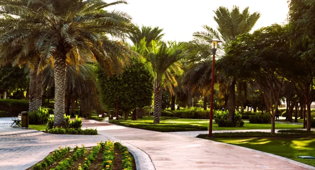 Al Jurf Family Park Ajman: Timings, Things to Do and Nearby Hotels 4 Al Jurf Family Park Ajman location