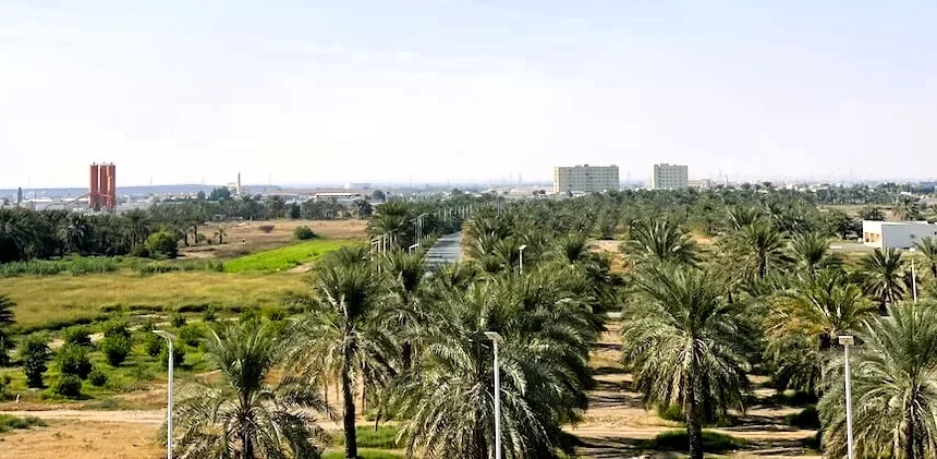 Al Manama Ajman: Forts, Museum, Hotels and Things to Do 1 Al Manama Ajman images