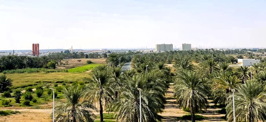 Al Manama Ajman: Forts, Museum, Hotels and Things to Do 2 Al Manama Ajman: Forts, Museum, Hotels and Things to Do