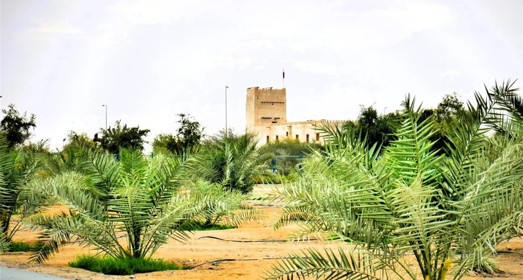 Al Manama Ajman: Forts, Museum, Hotels and Things to Do 3 Al Manama Ajman location