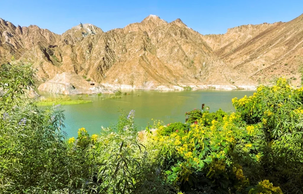 Al Rafisah Dam in Khorfakkan: Kayaking, Waterfall and Visitor Tips 4 Al Rafisah Dam sharjah