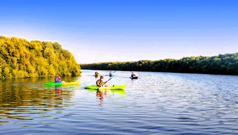 Al Zorah Natural Reserve Ajman: Kayaking, Prices, Hotels and Things to Do 3 Al Zorah Natural Reserve ajman