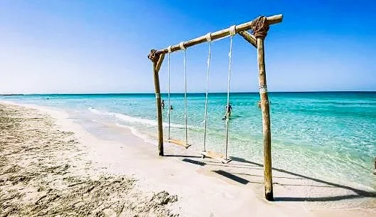 Beaches in Umm Al Quwain: Best Spots, Resorts and Tips 1 Beaches in Umm Al Quwain kite beach