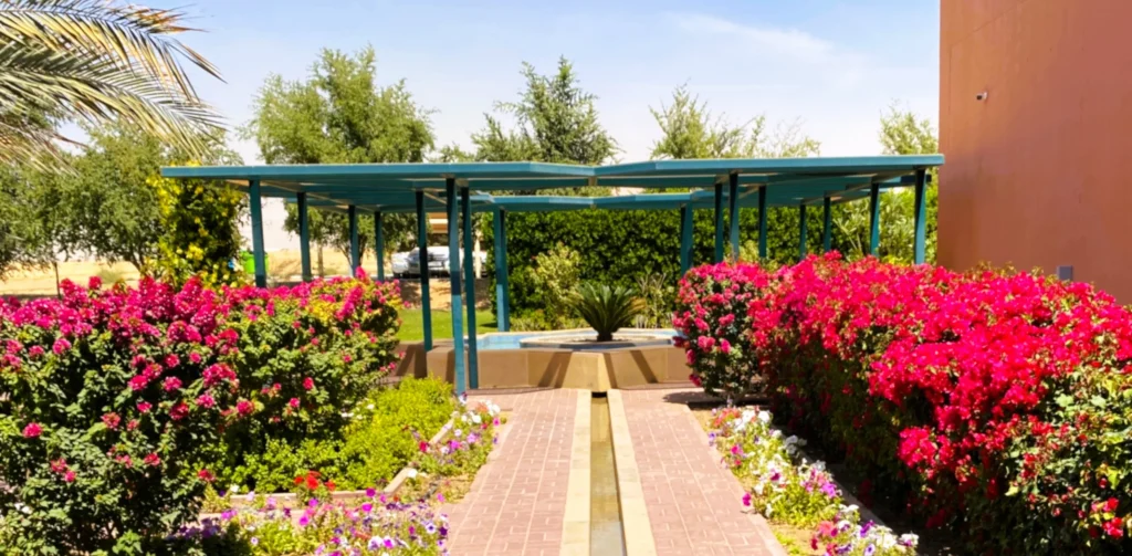 Islamic Botanical Garden in Sharjah: Plants of the Quran, Timings and Visit Guide 4 Flower lined water channel and pergola at the Islamic Botanical Garden