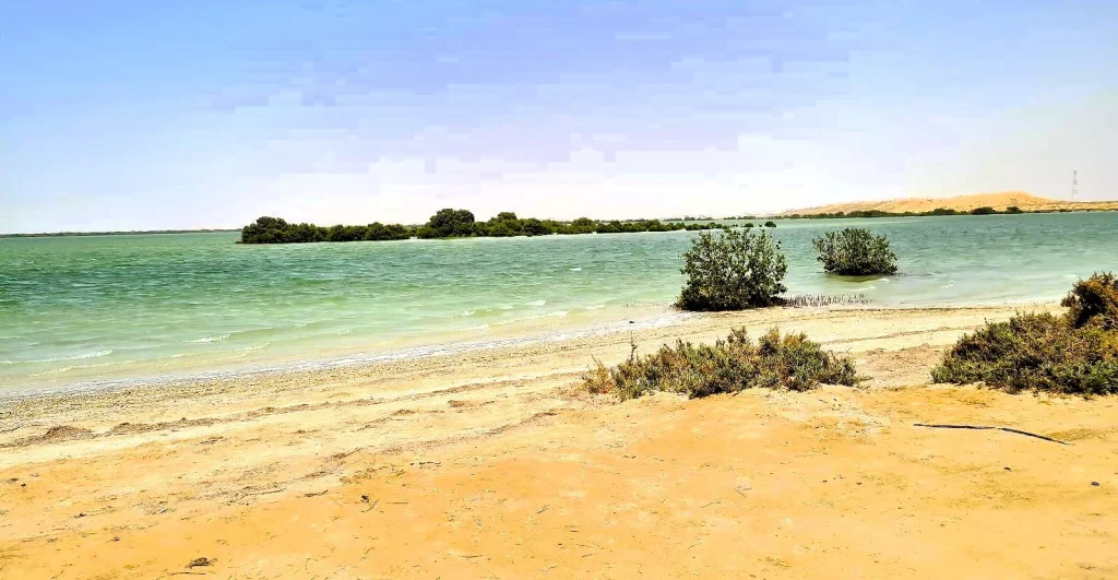 Khor Al Beidah, Umm Al Quwain: Kayaking, Birds and How to Visit 2 Khor Al Beidah images