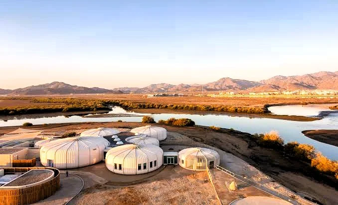 Khor Kalba Mangrove Centre in Sharjah: Tickets, Timings and What to See 1 Khor Kalba Mangrove Centre in Sharjah: Tickets, Timings and What to See