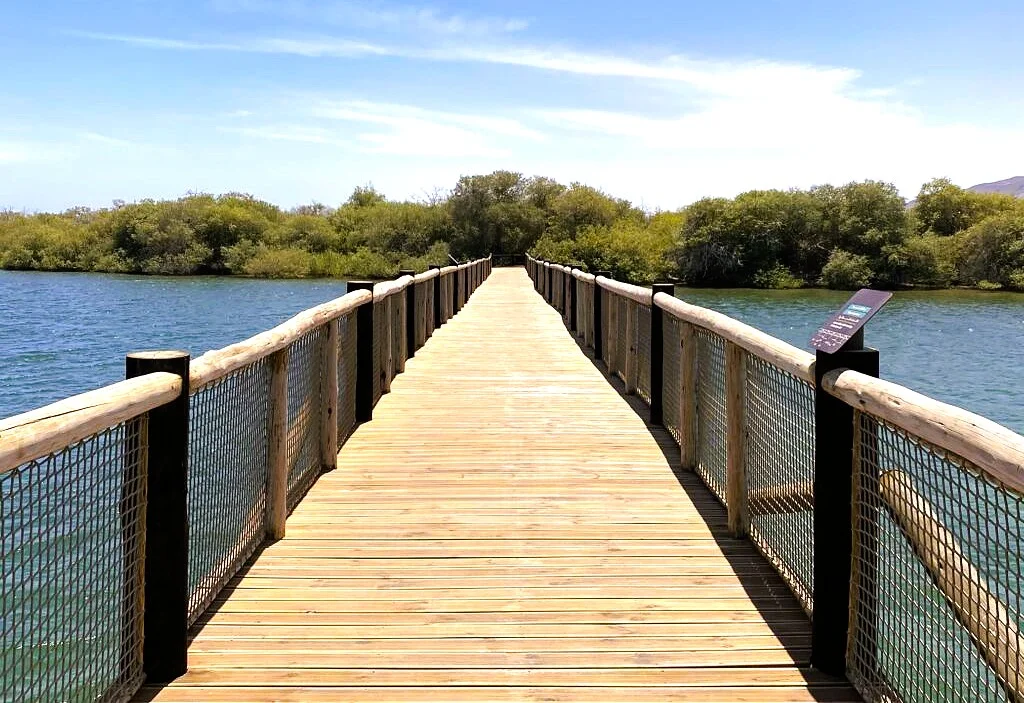 Khor Kalba Mangrove Centre in Sharjah: Tickets, Timings and What to See 3 Khor Kalba Mangrove Centre tourist spot