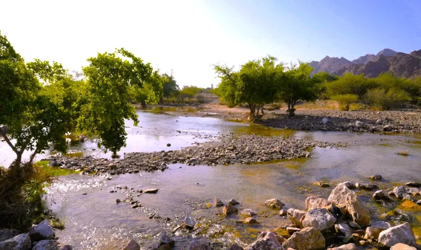 Masfout Oasis Ajman: Falaj Walks, Date Farms and Nearby Places to Visit 1 Masfout Oasis Ajman