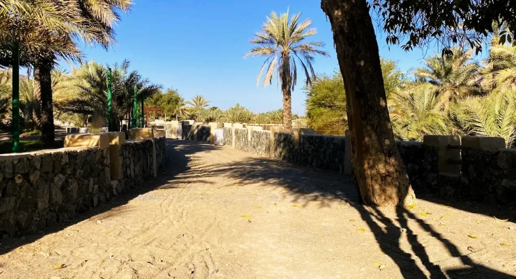 Masfout Oasis Ajman: Falaj Walks, Date Farms and Nearby Places to Visit 4 Masfout Oasis Ajman images
