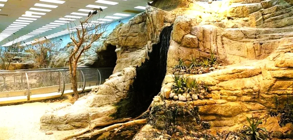 Sharjah Desert Park: Wildlife Centre, Museum, Tickets and Timings 4 Indoor walk through aviary at Arabia's Wildlife Centre in Sharjah Desert Park