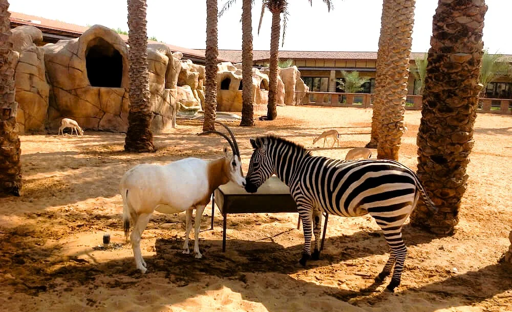 The Zoo Wild Life Park Umm Al Quwain: Tickets, Timings and Visitor Tips 2 The Zoo Wild Life Park Umm Al Quwain photos