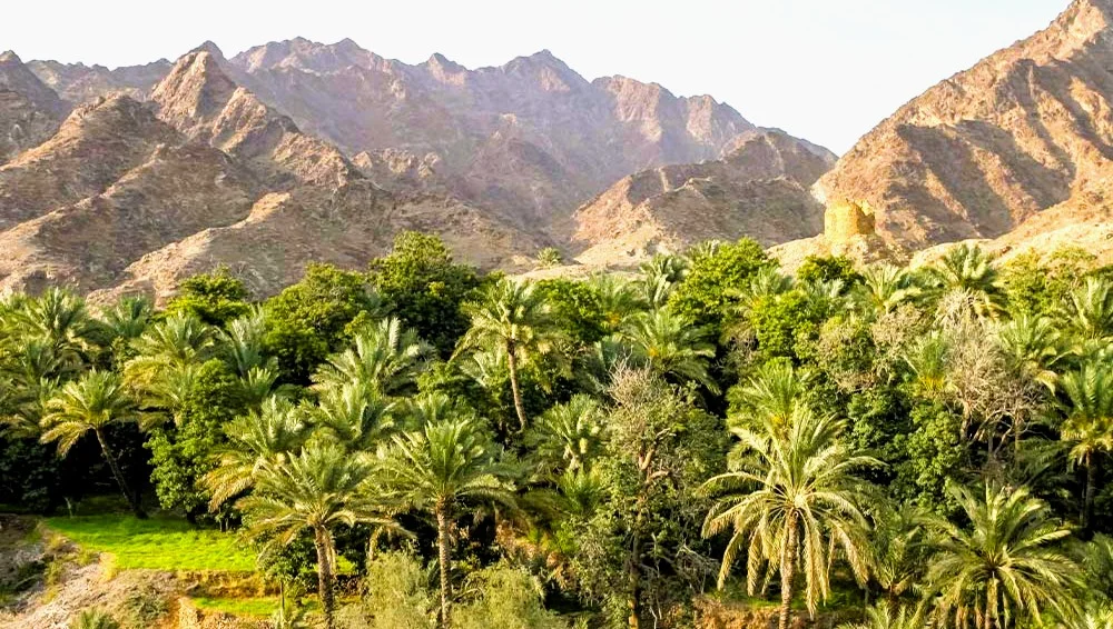 Wadi Wurayah: Hike To One Of UAE's Natural Waterfall 1 Wadi Al Wurayah location