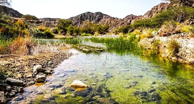 Wadi Wurayah: Hike To One Of UAE's Natural Waterfall 2 Wadi Al Wurayah uae