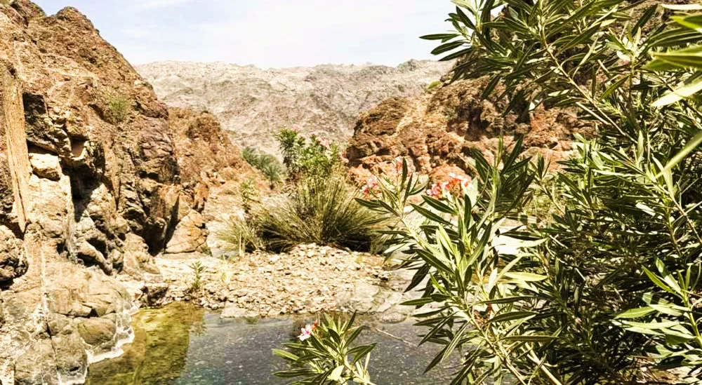 Wadi Wurayah: Hike To One Of UAE's Natural Waterfall 3 Wadi Al Wurayah