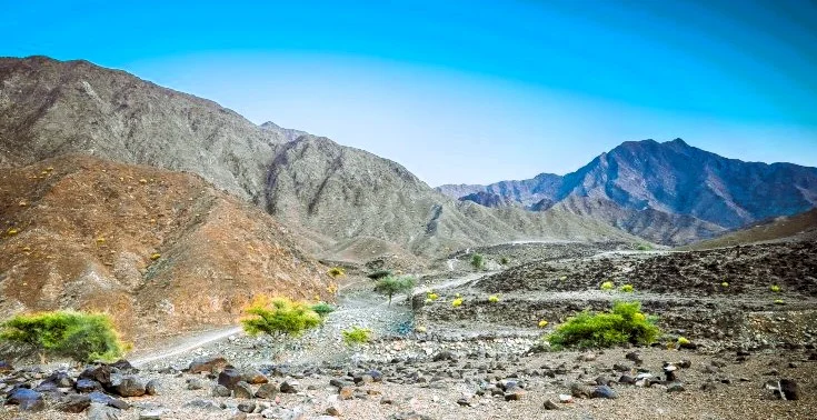 Wadi Saham: Panduan Mendaki, Petroglyph, dan Pemandangan Pegunungan 2 Wadi Saham fujairah uae