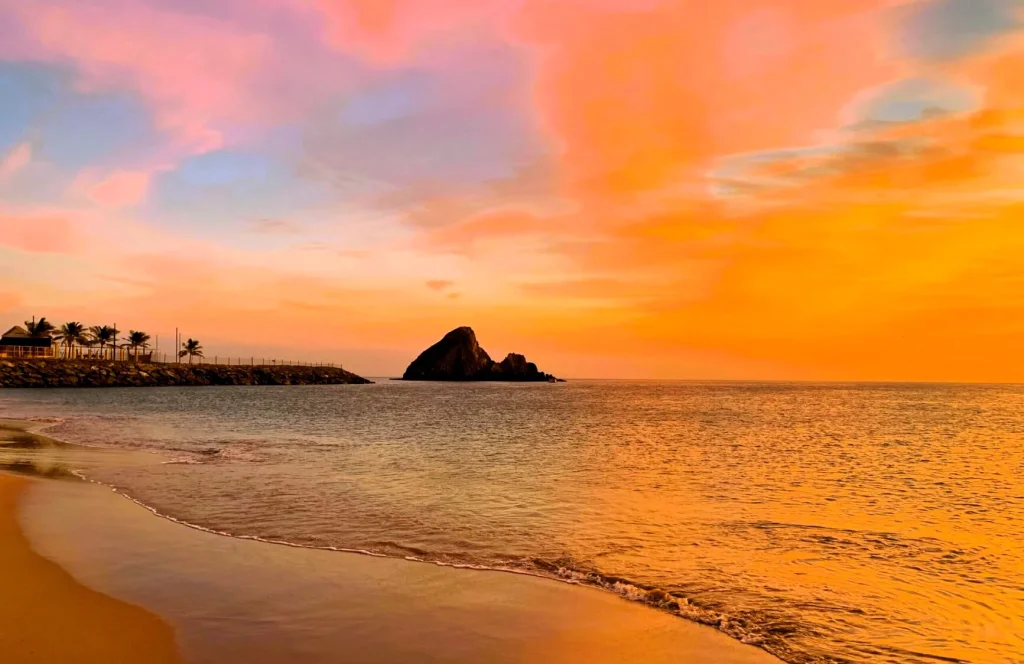 Al Aqah Beach Fujairah: Amazing Snorkelling, Hotels and Visitor Tips 4 al aqah beach images