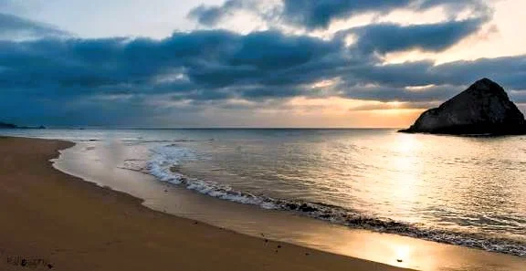 Al Aqah Beach Fujairah: Amazing Snorkelling, Hotels and Visitor Tips 1 al aqah beach neaar snoopy island
