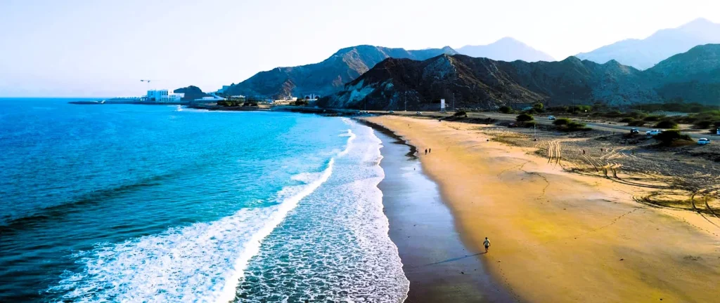 Al Aqah Beach Fujairah: Amazing Snorkelling, Hotels and Visitor Tips 3 al aqah beach photos