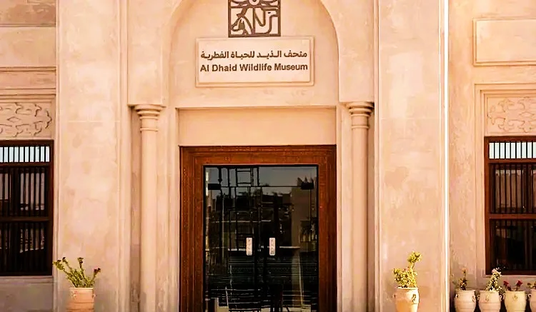 Al Dhaid Wildlife Museum in Sharjah: Seven Halls, Location and Visit Tips 1 al dhaid wildlife museum