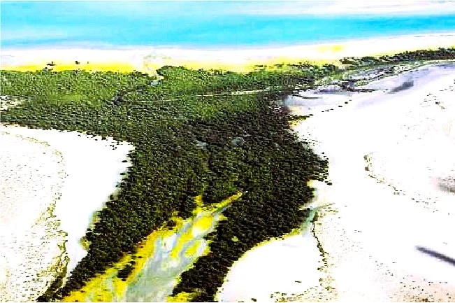 Al Sinniyah Island in Umm Al Quwain: Mangroves, History and Boat Trips 3 al sinniyah island mangroves
