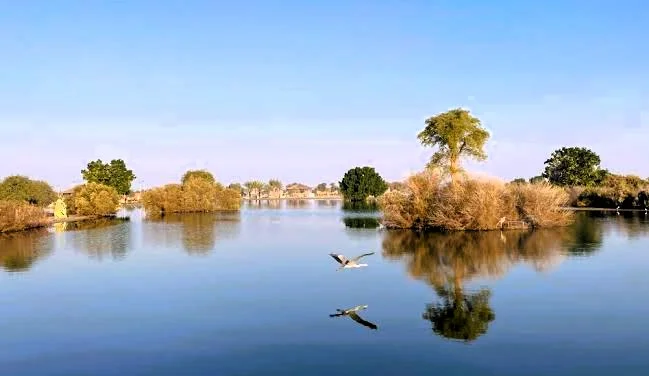 Al Wathba Lake Abu Dhabi: Camping, BBQ, Timings and Locations 3 al wathba lake photos